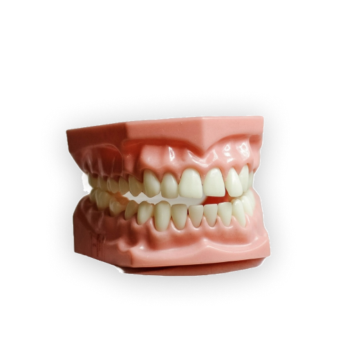 Smile Design